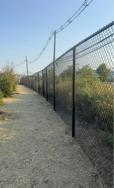 Professional Fence Repair